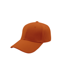 0ceee01bc63bb5f8623b37b7057e11ba.png Six Panel Brushed Cotton Baseball Cap