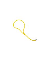 Lanyard