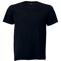 170g Barron Combed Cotton Crew Neck T-Shirt (TST170B)