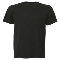 160g Wise-Buy 100% Cotton T-Shirt Promo Fit