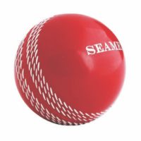 d8655638-1cad-49f9-99c8-e5f9c02be3810454000 Balls Bouncer 135g