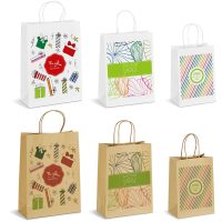 default_1024X1024 Sample Pack - Branded Digital Print Paper Gift Bags