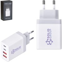 default_1024X1024 Swiss Cougar Portland Fast Wall Charger