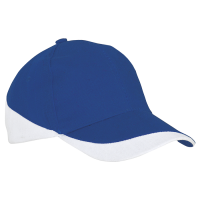301372-royalwhite.png 6 Panel Pro Spec Cap