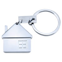 311213-silver.png Keyring Inmo