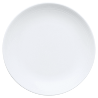 Arctic White Coupe Plate