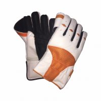 Wicket Keeping Gloves Indoor