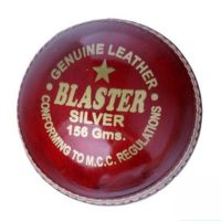 6ff25413-afec-4143-a18e-b8730d0755b80454060 Blaster Silver 156g