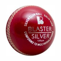 77f09d56-c5a4-4b92-910b-bc679ff8772f0454061 Blaster Silver 135g