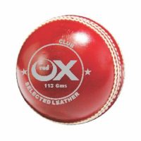 Cricket balls Club Red 2 pc 113g