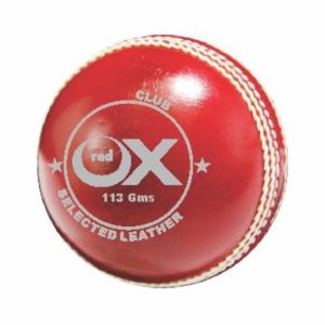 Cricket balls Club Red 2 pc 113g