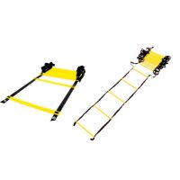 Fastfoot ladders 8m