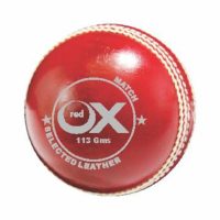 Cricket balls Match Red 2 pc 113g