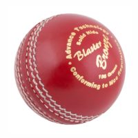 9a5b5517-ae38-45fd-b9a0-cfcc6ad9f13e0454065 Blaster Bronze 156g