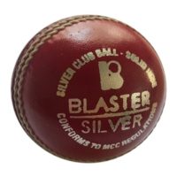 a9378a0d-331c-4122-b1bc-40d2ae3fe0460454062 Blaster Silver 113g