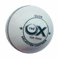 Cricket balls Club White 2 pc 156g