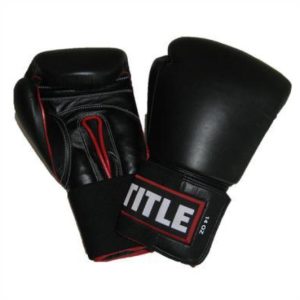 Sparring gloves (Leather) 8oz